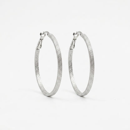 Silver Tone Hoop Earrings